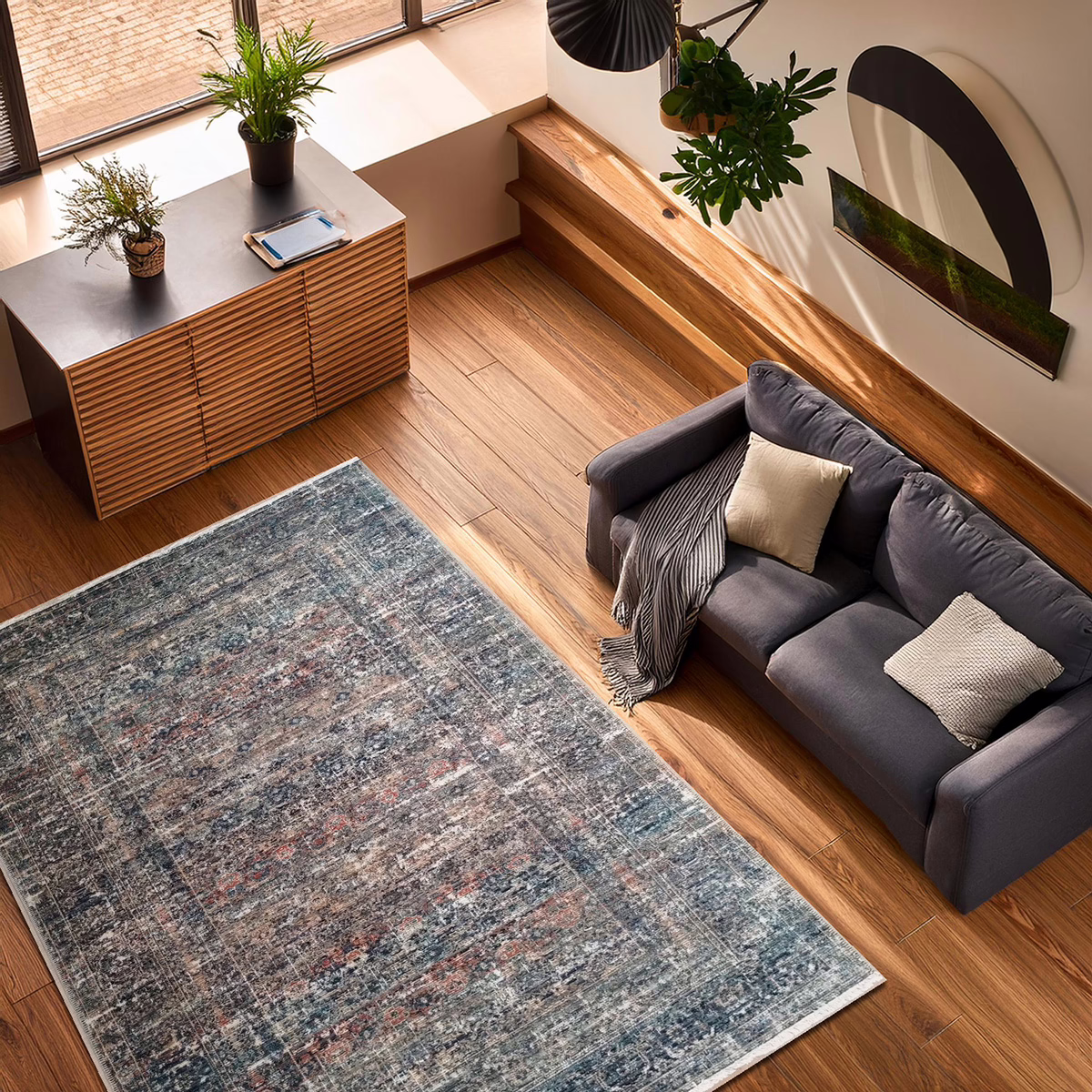 Password recovery image